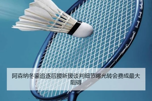 阿森纳冬窗追逐后腰新援谈判细节曝光转会费成最大阻碍（BOBSPORTS）